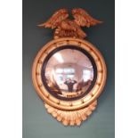 A Victorian gilt framed convex mirror, with eagle crest and ebonised slip, 65cm wide x 100cm high,