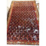 A Senneh rug, Persian, the black field with an allover design of botehs,