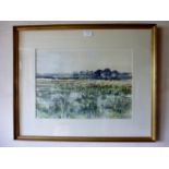 Nicholas BRISTOW (20th century) - A framed and glazed watercolour of a marshland scene, signed,