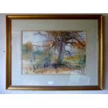 Alfred HACKNEY RWS (British 1926) - A framed and glazed watercolour entitled 'The Beech Tree',