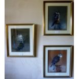 Brian BOWHILL (20th century) - Three framed and glazed falcon subjects entitled: 'Merlin',