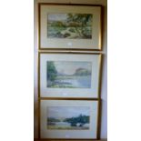 A set of three framed and glazed watercolours by the late Countess DARNLEY (one glass cracked)