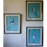 Brian BOWHILL (20th century) - Three framed and glazed mixed media bird studies of finches or tits,