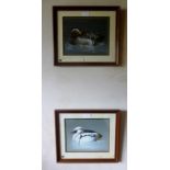 Brian BOWHILL (British 20th century) - A pair of mixed media framed and glazed bird studies