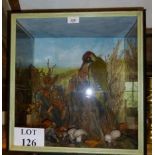 A cased Wood Pecker est: £350-£450 (AB4)