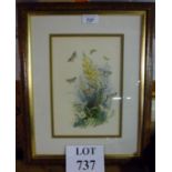 An elm framed and glazed coloured print