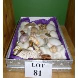 A collection of old shells from the Virg