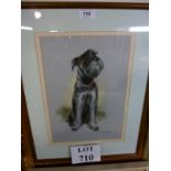 A framed and glazed pastel study of a Scotty dog signed Ursula White lower right and dated 94 est: