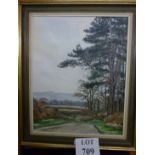 A framed oil on canvas depicting a country landscape with dirt track signed Brenda Pye lower right