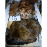 A box of vintage furs to include tippets and muffs est: £20-£40 (BF21)