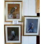 Brian BOWHILL (20th century) - Three framed and glazed falcon subjects entitled: 'Merlin',