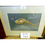 A framed and glazed pastel of a pheasant by M A Bignell (17" x 13" approx) est: £30-£50