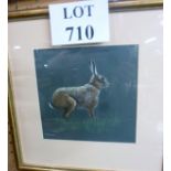 A framed and glazed pastel of a hare by M A Bignell (13" x 13" approx) est: £30-£50