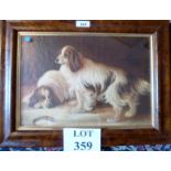 A framed oil on board study of a pair of spaniels (10" x 15" approx) unknown artist est: £100-£150