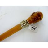 A walking cane with carved hardwood handle,