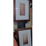 A pair of framed and glazed limited edit