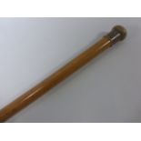 A Malacca walking cane with horn knop.