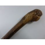 A walking cane with carved Parrot's head knop.