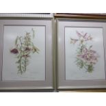 ELIZABETH CAMERON - pair of Ltd edition botanical prints of Lilies, in matching frames,