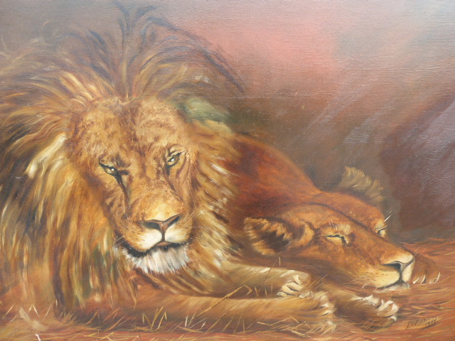 L E DAVIES -oil painting on canvas of male & female pair of Lions, signed & dated 1908,