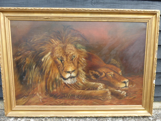 L E DAVIES -oil painting on canvas of male & female pair of Lions, signed & dated 1908, - Image 2 of 3