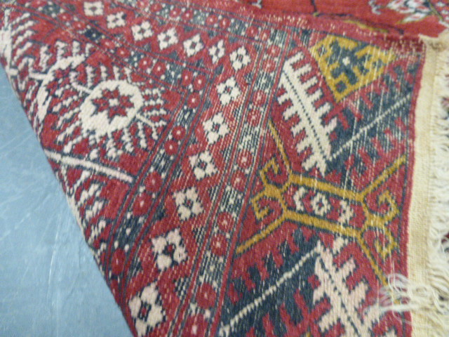 Turkmen Mauri, Turkmenistan, rug with th - Bild 3 aus 3