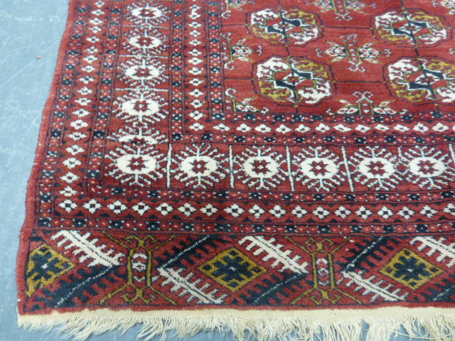 Turkmen Mauri, Turkmenistan, rug with th - Bild 2 aus 3