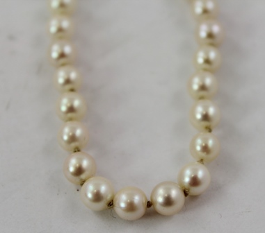 A UNIFORM CULTURED PEARL NECKLACE with 9ct gold clasp, 36cm long - Image 2 of 2