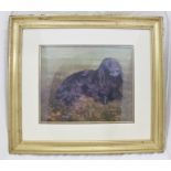 M. BARBER A study of a black Cocker Spaniel, an Oil on board, inscribed verso, 32.5cm x 40cm in