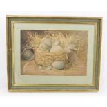 EUROPEAN SCHOOL A still life study of a basket of eggs, a Watercolour, 24cm x 35cm in green and gilt