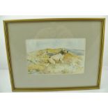 E** R** BOOTH English Setters working over a moor, a Watercolour, signed, see "Dyson Perrins Museum,