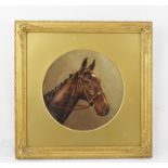 LATE 19TH/EARLY 20TH CENTURY An equine period portrait, unsigned, 22cm diameter gilt mounted in
