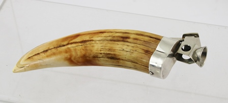 A SILVER COLOURED METAL MOUNTED TUSK FASHIONED WITH A CIGAR CUTTER, stamped .925