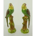 A PAIR OF CONTINENTAL POSSIBLY GERMAN PORCELAIN MODELS OF BUDGERIGARS perched on a tree stump,