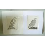 AFTER PABLO PICASSO A pair of Prints, taken from an edition of "Histoire Naturelle" (the first