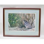 R*** ANSELL A Peregrine Falcon at her nest in habitat, a Pastel, signed, 33cm x 50cm, in moulded