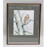 JANET WHITTAKER Buzzard on a bough in winter, a Watercolour, signed, 37cm x 29cm in moulded glazed