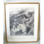 AFTER LANDSEER Two dogs lying on a blanket, overseeing a ewe and her two lambs, Engraving, published