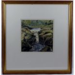 LES PACKHAM "The Strid", a waterfall landscape, River Wharfe, Boulton Abbey Estate,Yorkshire, a