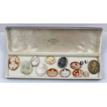 A COLLECTION OF FOURTEEN CLASSICALLY INSPIRED SHELL AND LAVA CAMEOS, decorated with portraits,