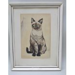 MID 20TH CENTURY BRITISH SCHOOL Study of a seated cat, Watercolour, inscribed signature to mount, 29