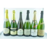 ELEVEN BOTTLES OF SPARKLING WINES; McGuigan Black Label, Cava, Zamuner Brut Methode Champagne,