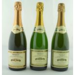 SAINSBURY'S DEMI-SEC CHAMPAGNE, 2 x bottles SAINSBURY'S BRUT ROSE CHAMPAGNE, 1 bottle (3)