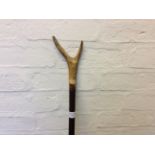 A stag horn top shooting stick.