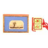 Two good needle books comprising a bone example, brightly painted with flowers and shells and