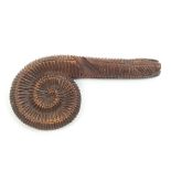 An unusual early 19th Century wooden knitting stick carved in the form of an ammonite, split to end,