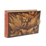 A Fern ware rectangular photograph album (silhouette on brown ground), gilt clasp, leather spine,