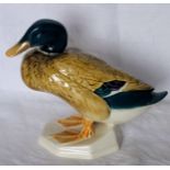 A Beswick model of a Mallard Duck no. 817.