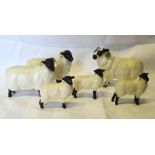 A Beswick model of black faced Ram, no. 3071, two black faced sheep and three black faced lambs.