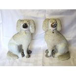 A pair of 19th Century Staffordshire pottery seated Poodles with divided front legs. 11" (28cms)